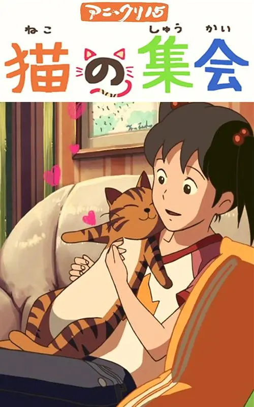 亚洲少妇视频