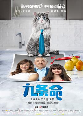 又湿又黄的视频