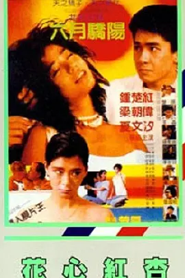 91久久精品国产亚洲