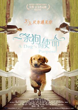 99久久久国产精品免费播放器
