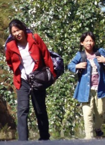 涩涩日韩在线