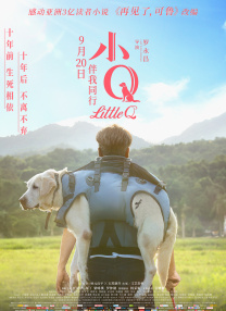 女人趴下脱了内裤光着视频