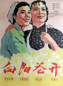 蘑菇视频免费