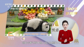 午夜久久久精品